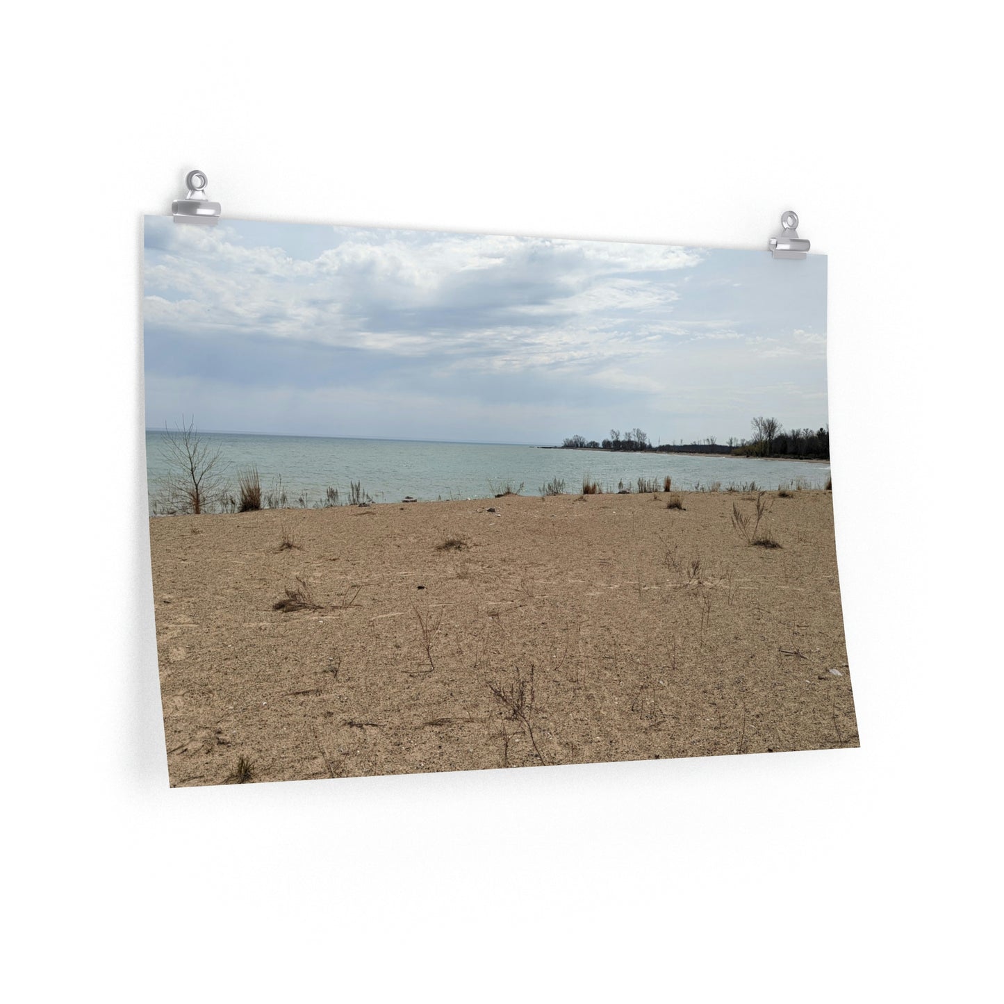 Memom & The Punk Monkeys At the Beach Premium Matte horizontal posters