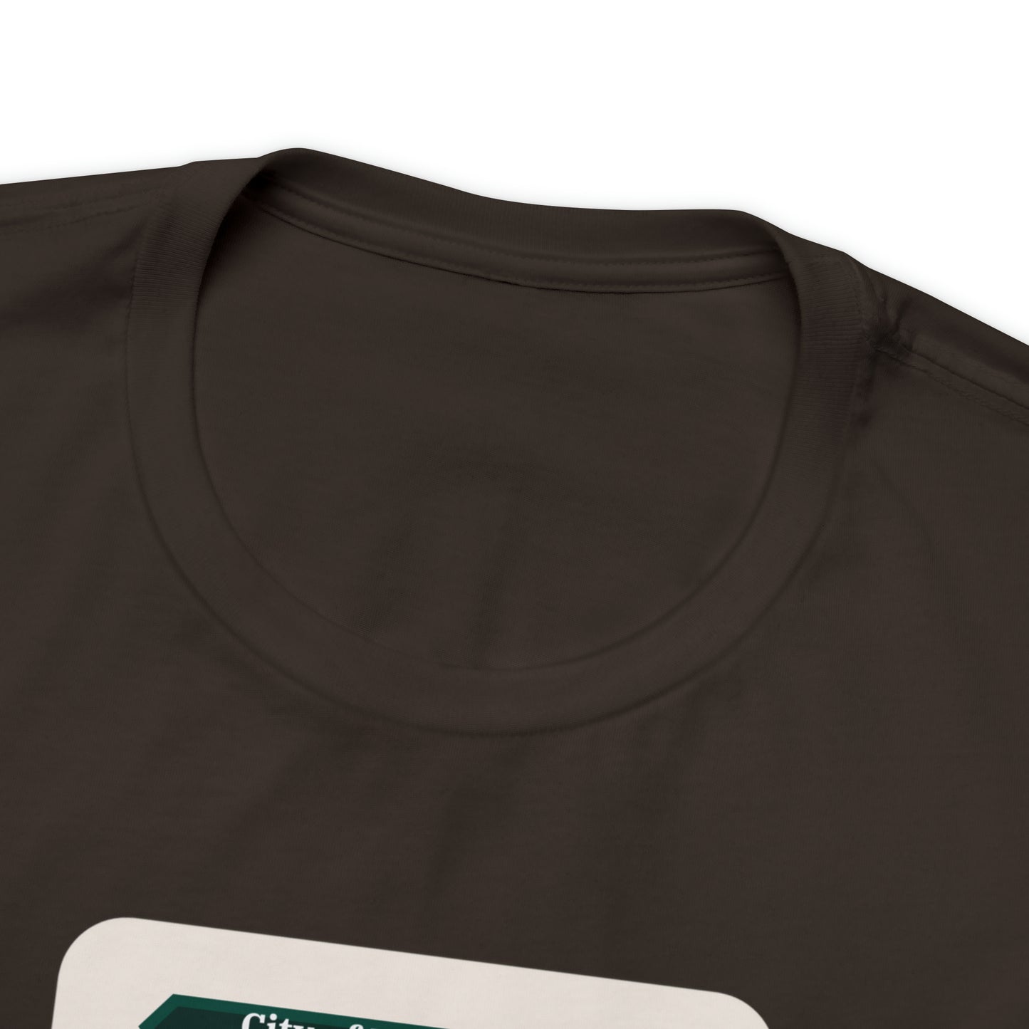 Pilgrim's Progress City of Destruction Trading Card Unisex Jersey Short Sleeve Tee