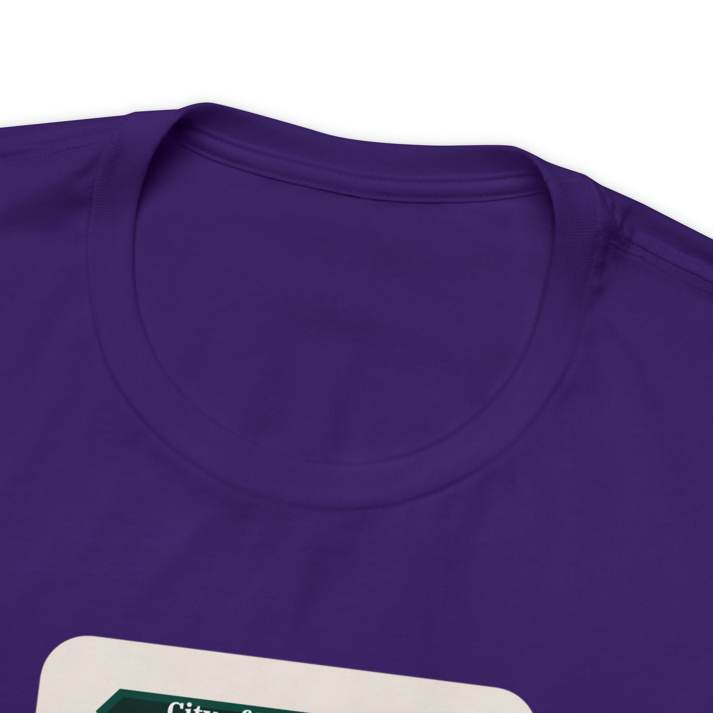 Pilgrim's Progress City of Destruction Trading Card Unisex Jersey Short Sleeve Tee