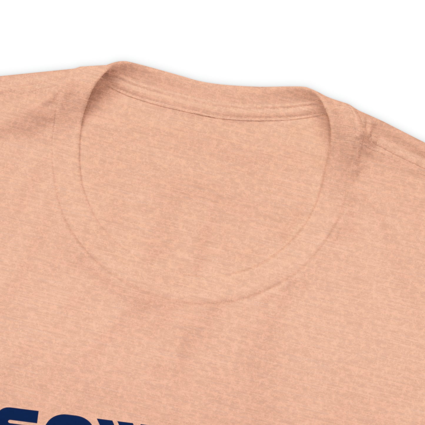The Sower & The Soils Unisex Jersey Short Sleeve Tee