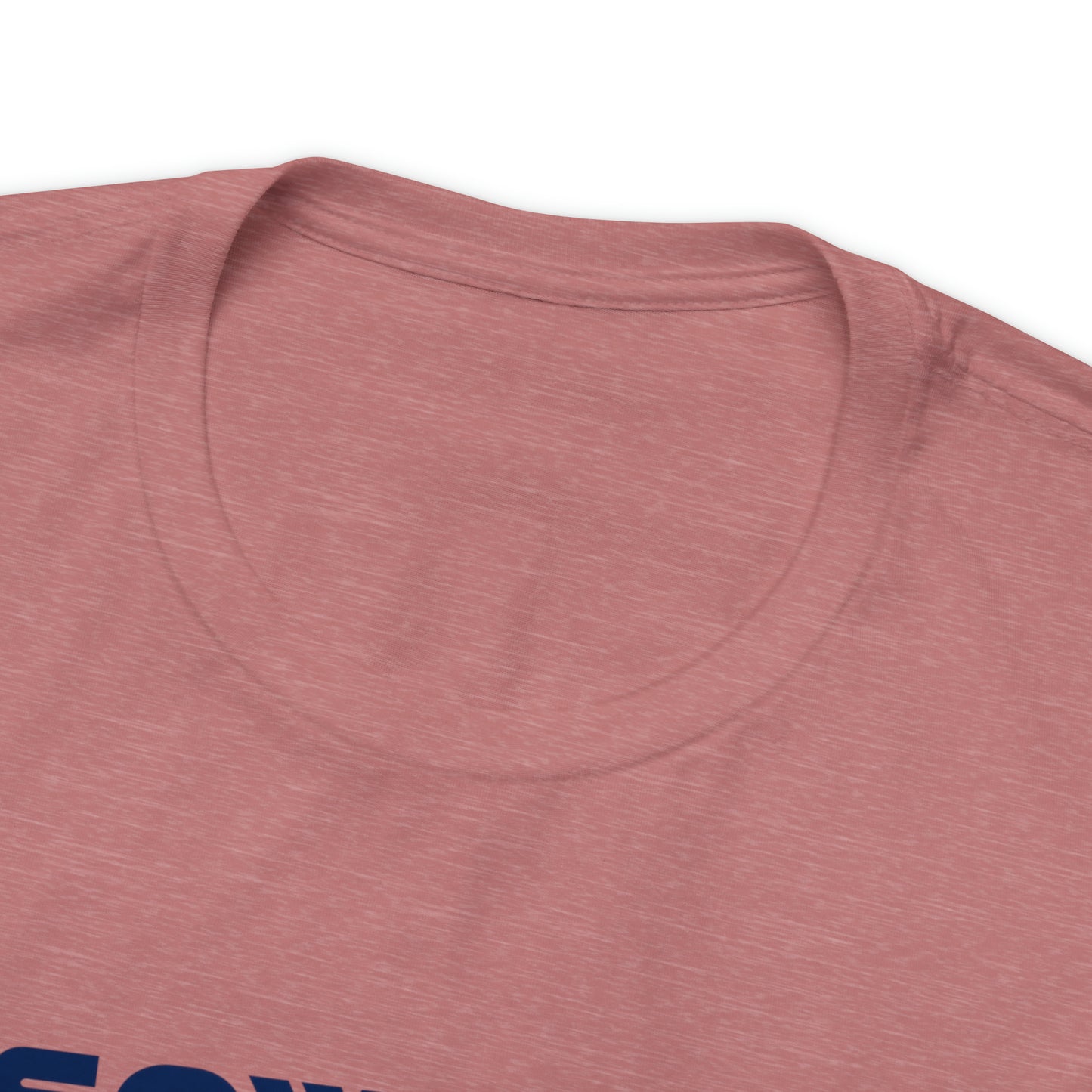 The Sower & The Soils Unisex Jersey Short Sleeve Tee