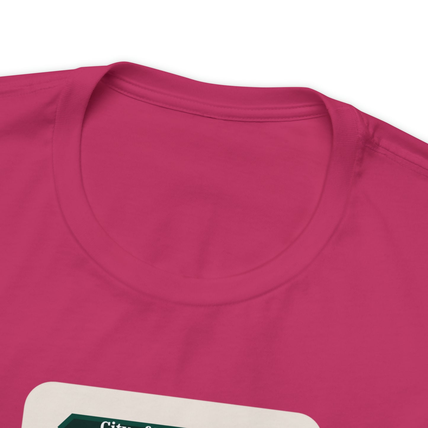 Pilgrim's Progress City of Destruction Trading Card Unisex Jersey Short Sleeve Tee