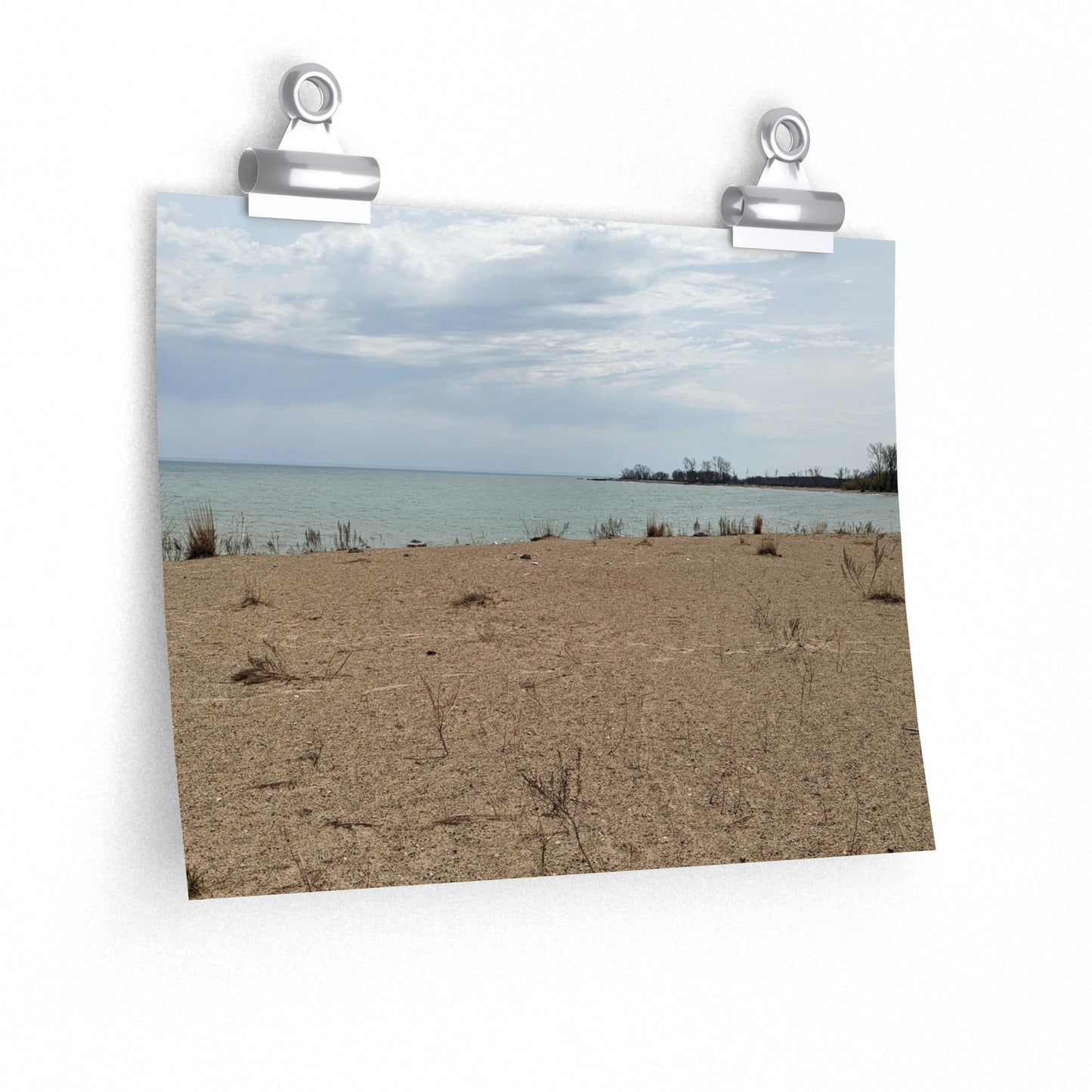 Memom & The Punk Monkeys At the Beach Premium Matte horizontal posters