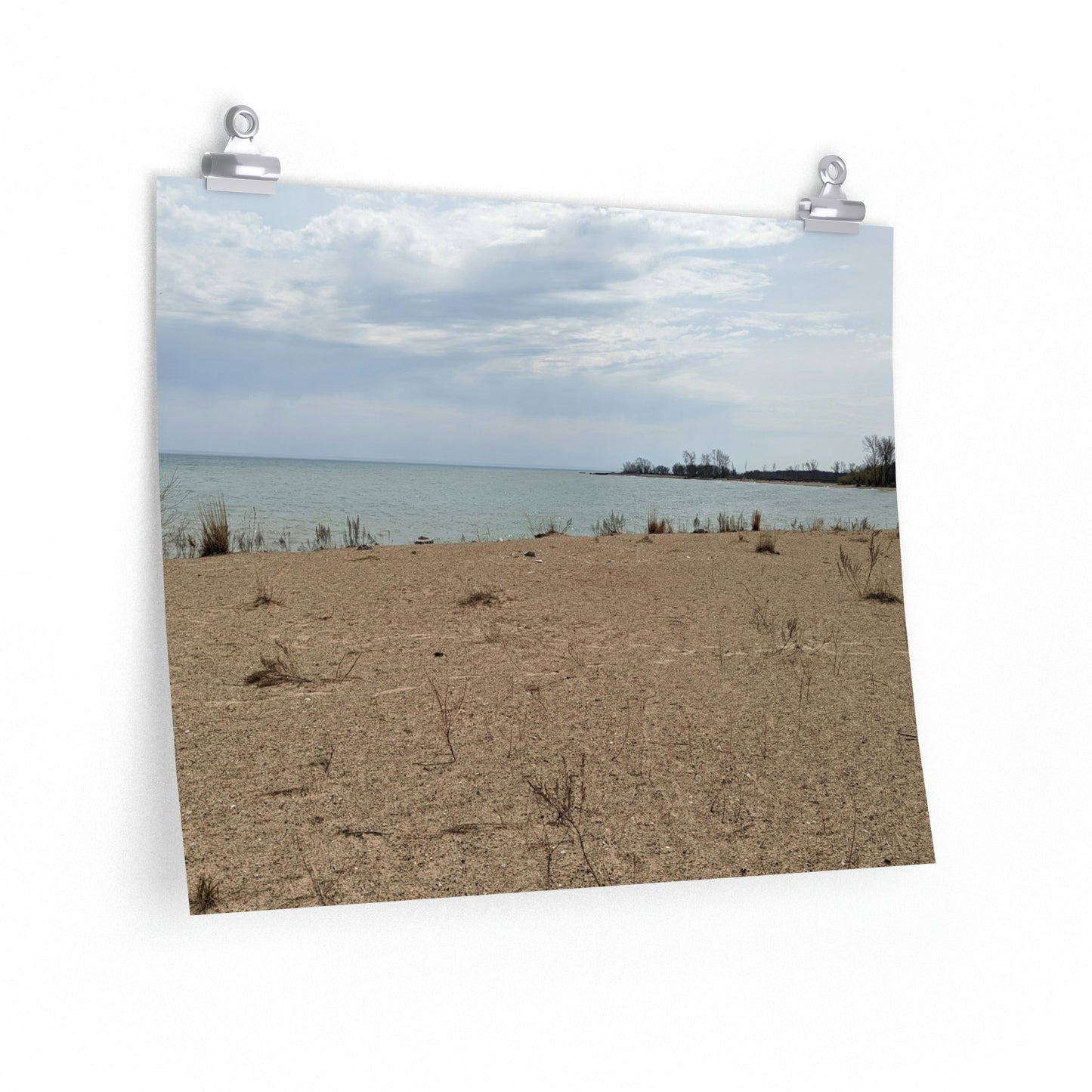 Memom & The Punk Monkeys At the Beach Premium Matte horizontal posters