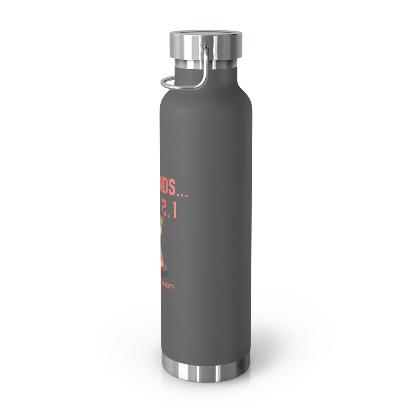 30 Seconds...5,4,3,2,1 Copper Vacuum Insulated Bottle, 22oz