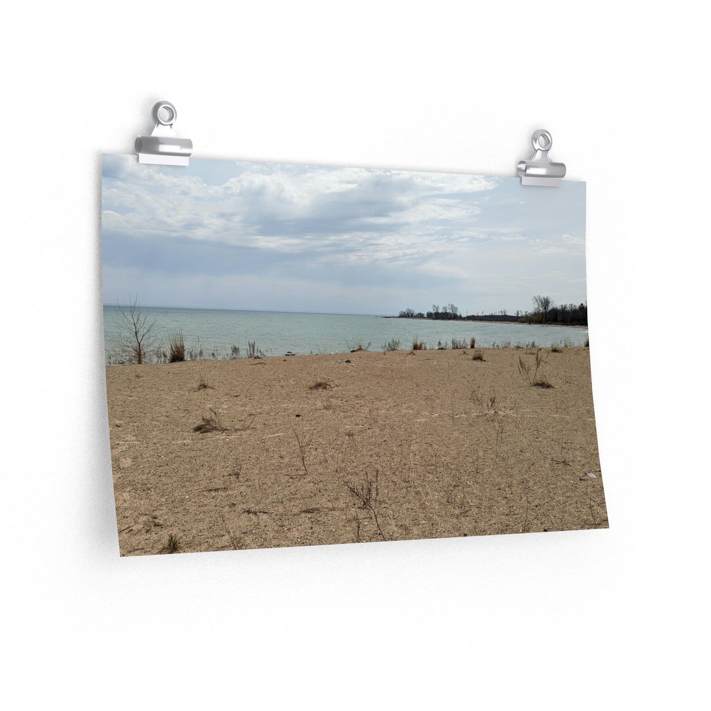 Memom & The Punk Monkeys At the Beach Premium Matte horizontal posters