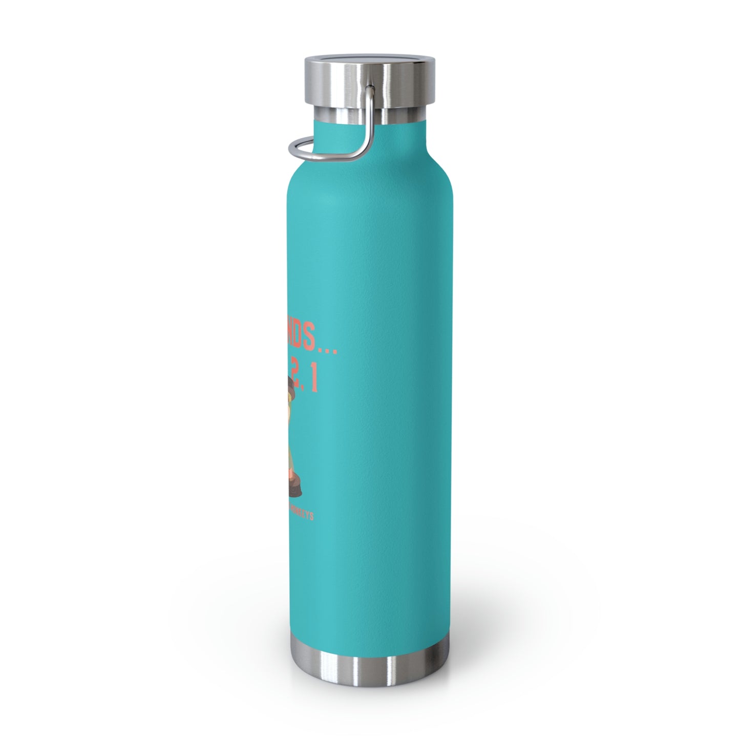 30 Seconds...5,4,3,2,1 Copper Vacuum Insulated Bottle, 22oz