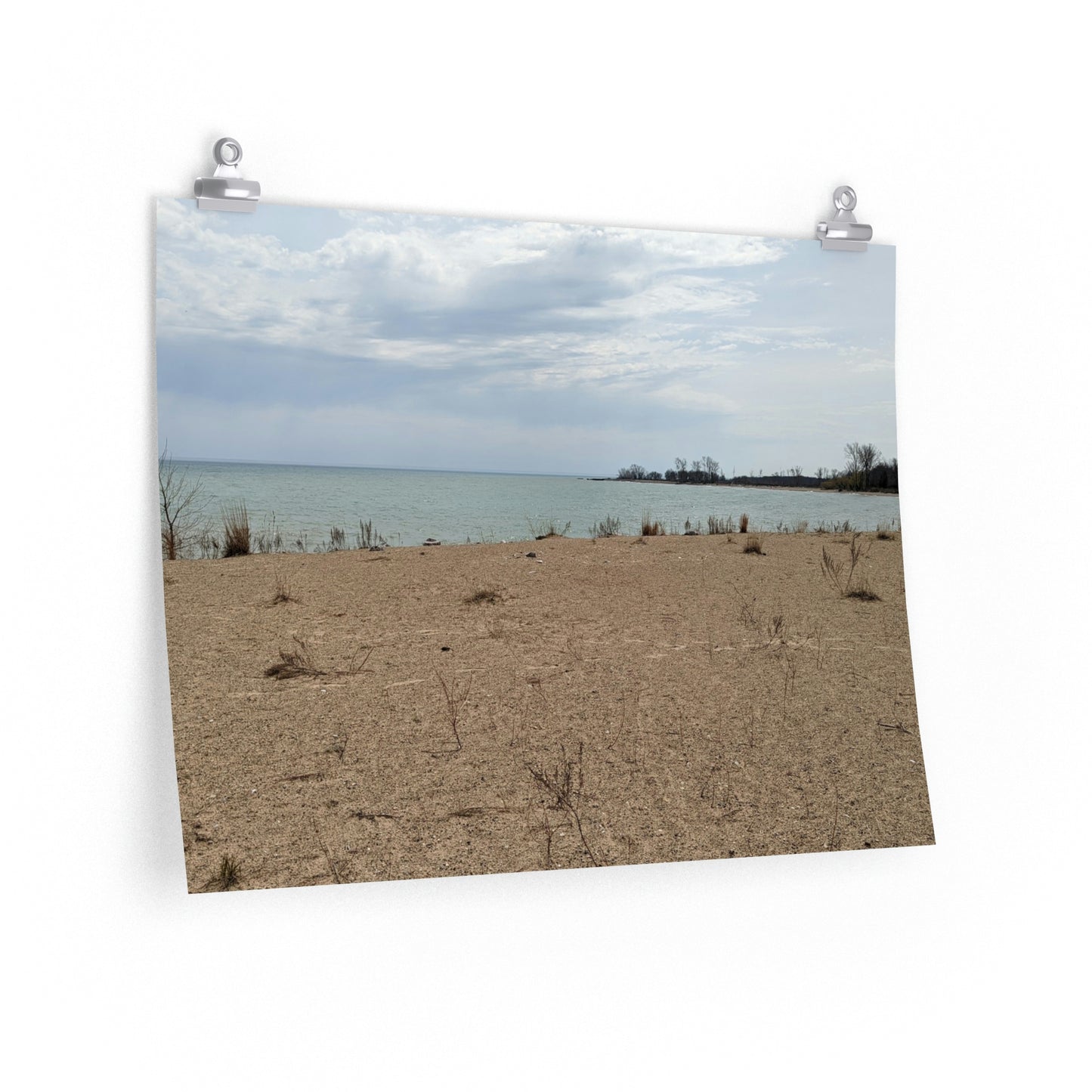 Memom & The Punk Monkeys At the Beach Premium Matte horizontal posters