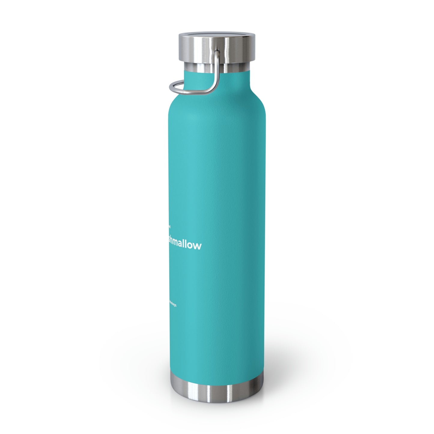 We've Reached the Pink Marshmallow Copper Vacuum Insulated Bottle, 22oz