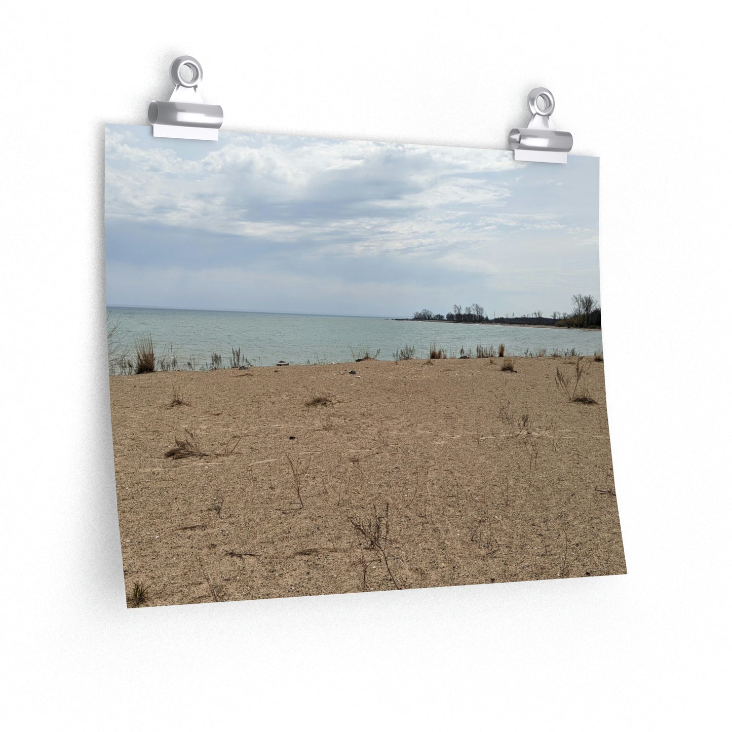 Memom & The Punk Monkeys At the Beach Premium Matte horizontal posters