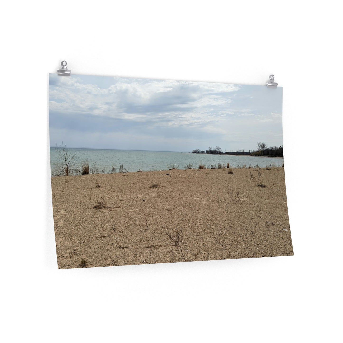 Memom & The Punk Monkeys At the Beach Premium Matte horizontal posters