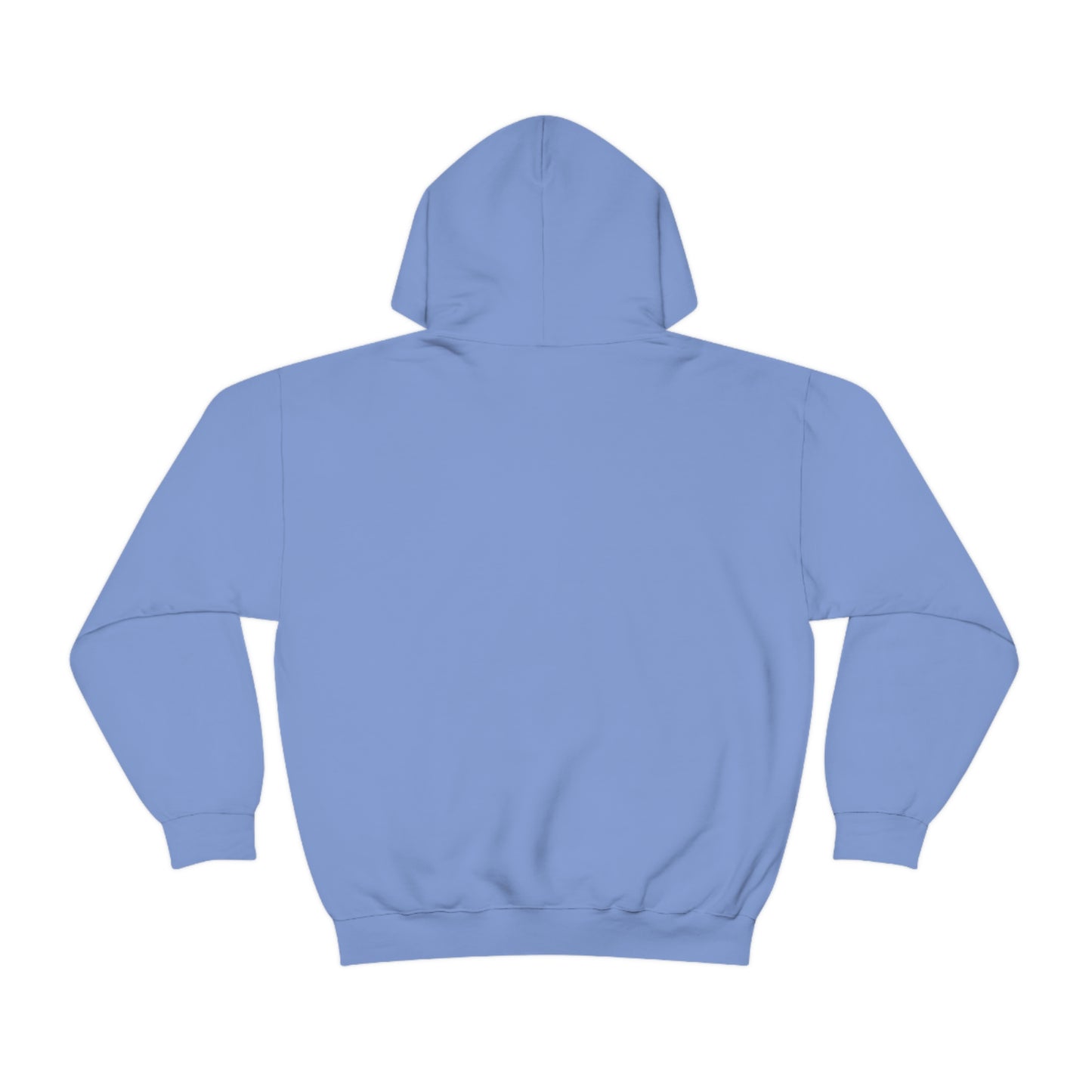 The 6 Pack Unisex Heavy Blend™ Hooded Sweatshirt