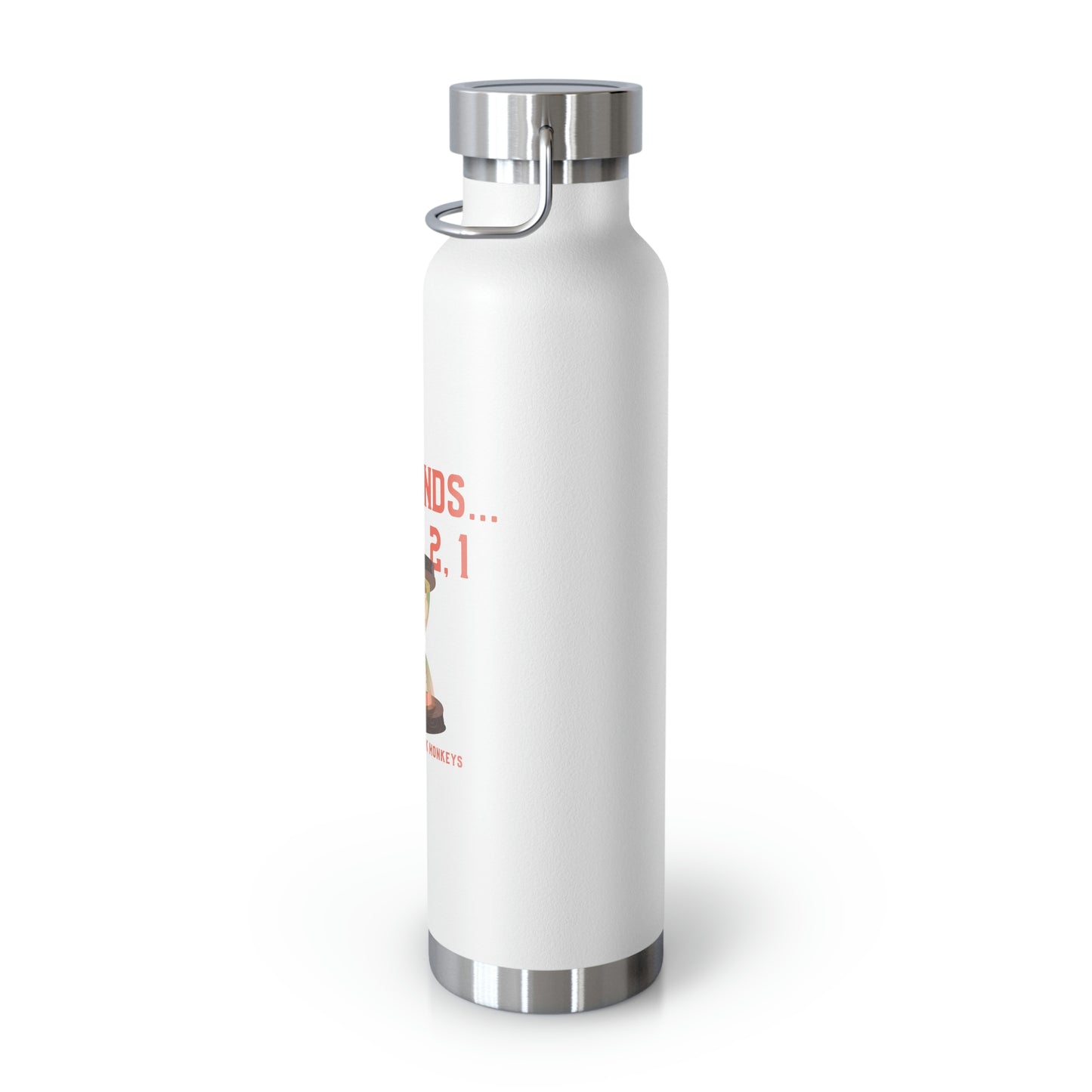 30 Seconds...5,4,3,2,1 Copper Vacuum Insulated Bottle, 22oz