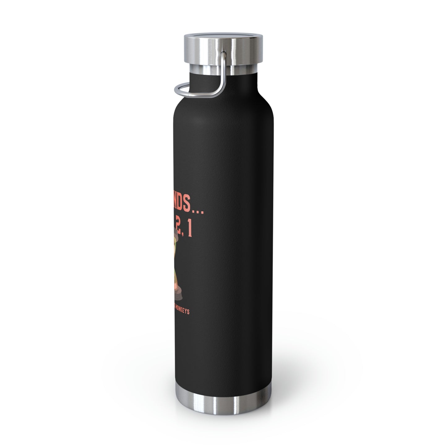 30 Seconds...5,4,3,2,1 Copper Vacuum Insulated Bottle, 22oz